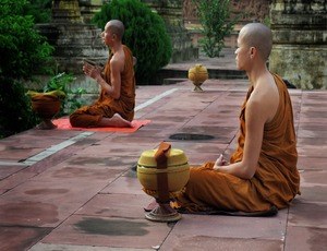 Bamboo Grove Event in Leh